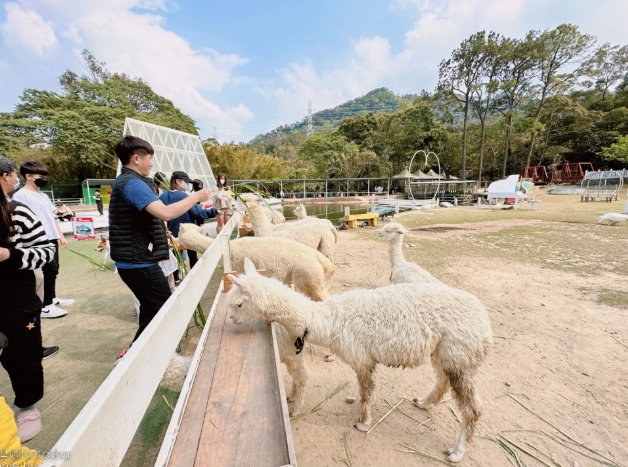 桃園親子農場 桃園親子農場