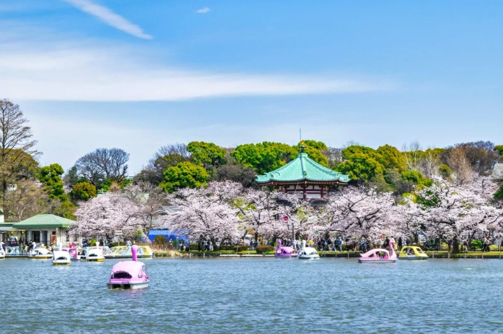 東京上野旅遊攻略 東京上野旅遊攻略