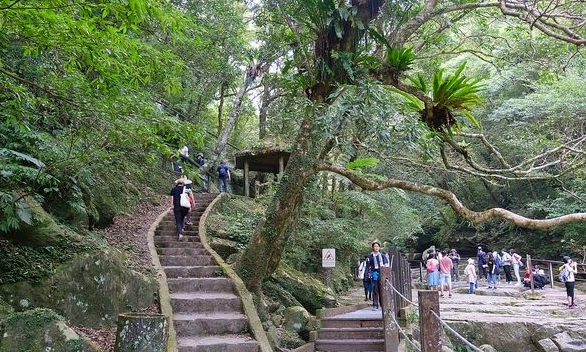 三峽登山步道 三峽登山步道