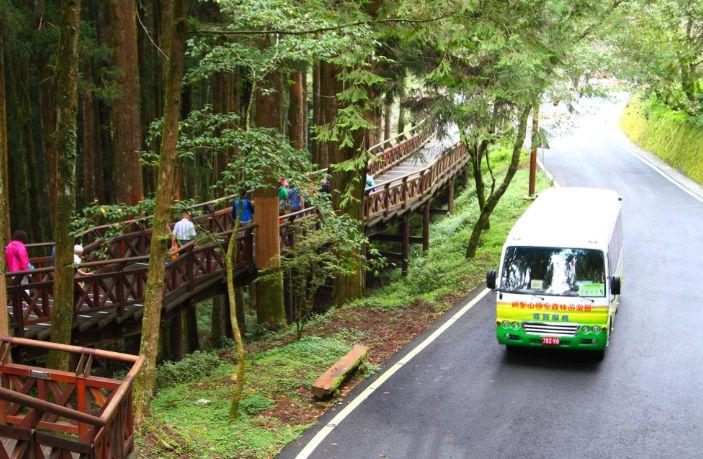 阿里山自駕遊全攻略：路線規劃、必訪景點與實用建議