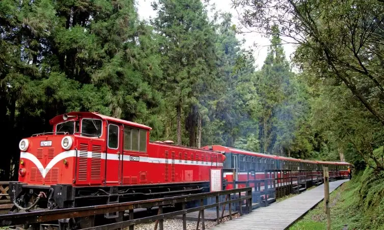 嘉義開車旅遊 嘉義開車旅遊