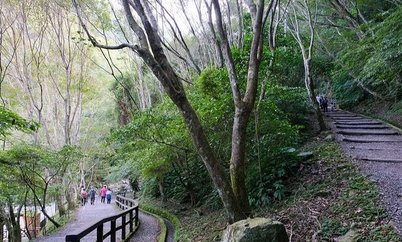 新北登山步道 新北登山步道
