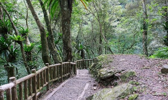 三峽步道推薦 三峽步道推薦