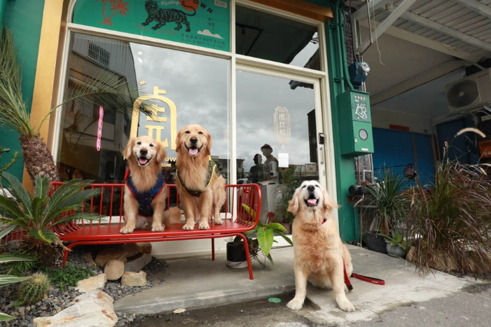 墾丁寵物友善餐廳全攻略：帶毛孩享受陽光與美食的必訪清單
