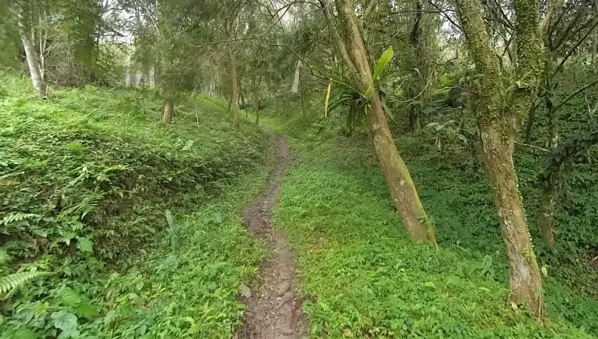 華林園秘境 華林園秘境