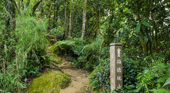 三峽登山步道推薦：精選路線與完整攻略