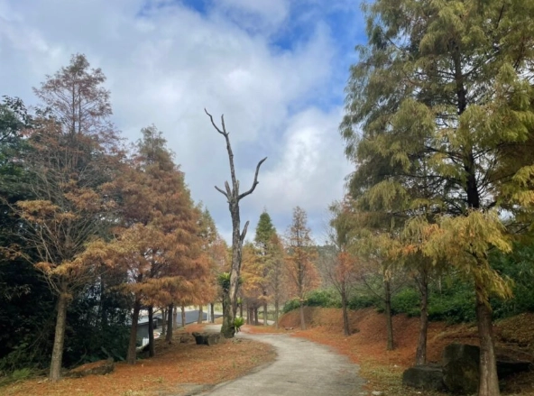 三峽步道推薦 三峽步道推薦