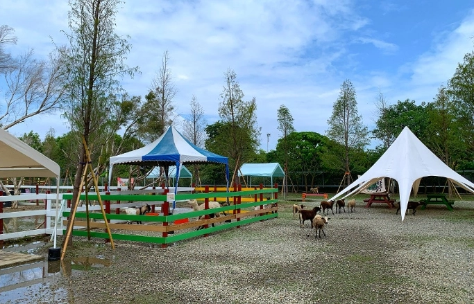 阿里山行程規劃 阿里山行程規劃