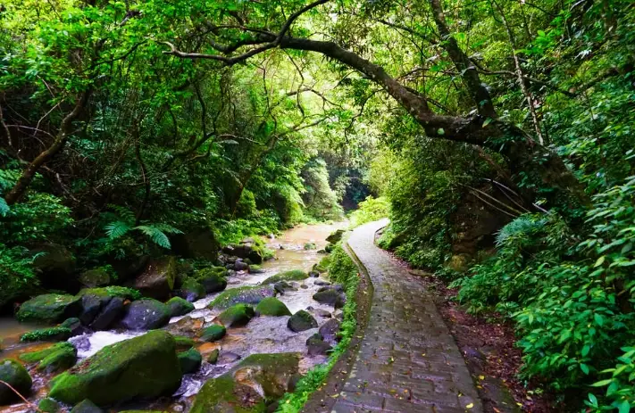 台灣私房景點 台灣私房景點