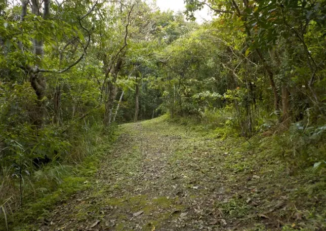 月眉山基隆登山步道全攻略：交通、景點與實用貼士