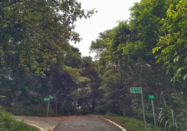 九股山 步道 九股山 步道