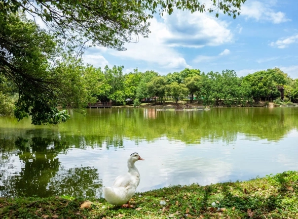 桃園親子景點 桃園親子景點