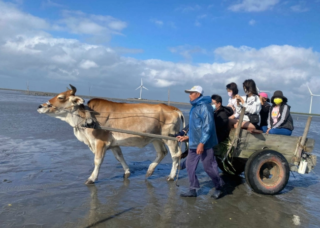 芳苑海牛體驗 芳苑海牛體驗
