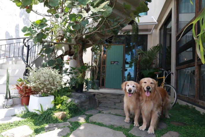 墾丁帶寵物餐廳 墾丁帶寵物餐廳