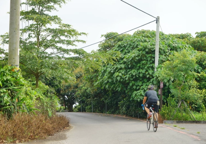 彰化騎車景點推薦：5條必騎路線與私房秘境全攻略