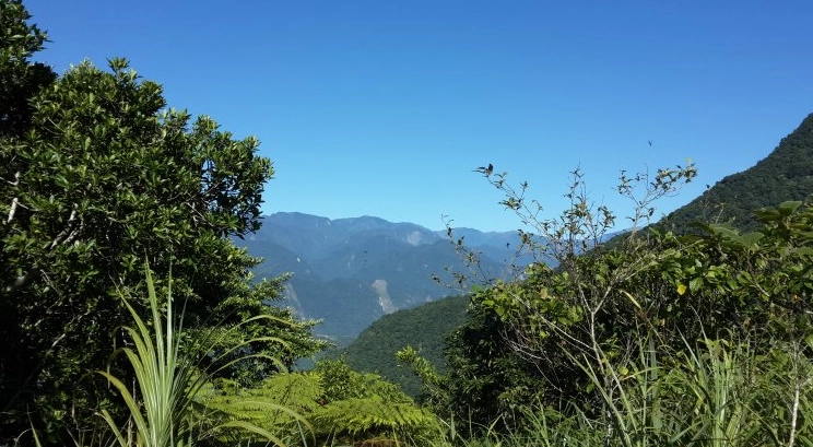 華林園初音山全攻略：秘境探訪、交通指南與私房景點一次掌握
