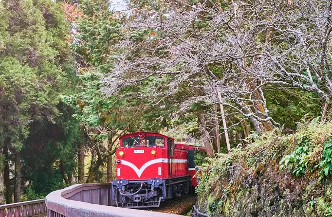 阿里山旅遊攻略 阿里山旅遊攻略