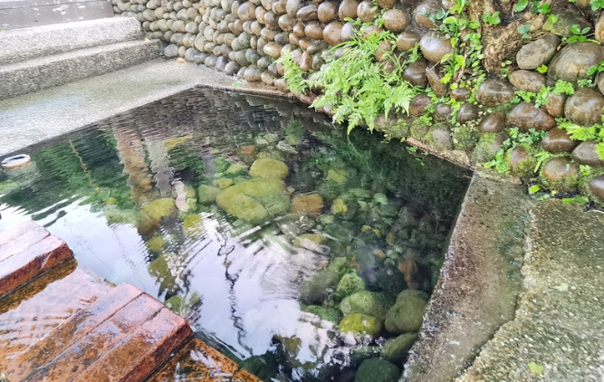 八德溫泉 八德溫泉