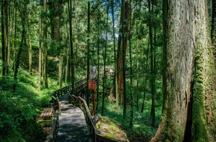 阿里山日出 時間 阿里山日出 時間