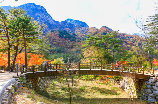 雪嶽山賞楓 雪嶽山賞楓