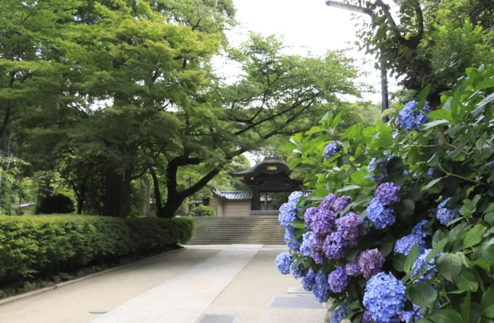 鎌倉深度旅遊 鎌倉深度旅遊