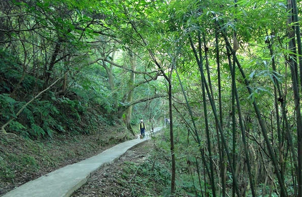 楊梅福人步道怎麼去 楊梅福人步道怎麼去