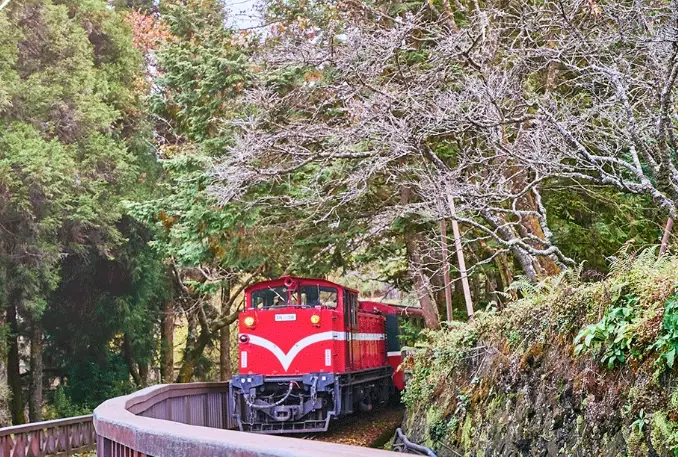 阿里山開車路線 阿里山開車路線