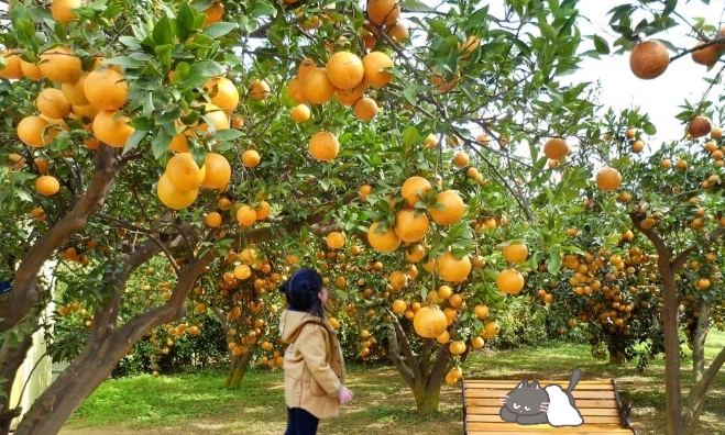 苗栗親子景點 苗栗親子景點