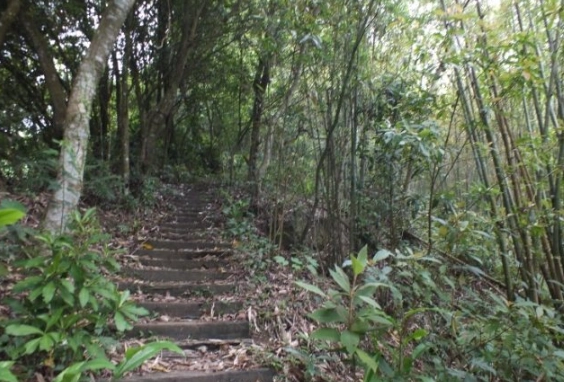 台北近郊登山 台北近郊登山