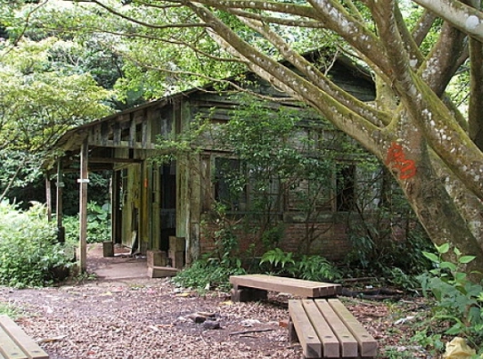 台北近郊登山 台北近郊登山