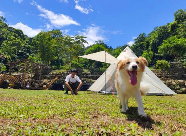 阿里山寵物友善 阿里山寵物友善
