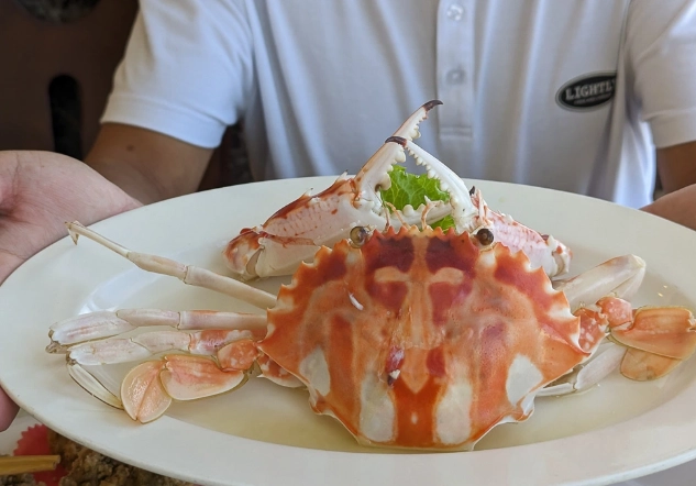 龜吼漁港美食攻略：在地人帶路，避開人潮吃透現流海鮮