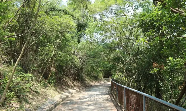 楊梅福人步道 楊梅福人步道