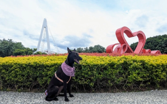 寵物友善餐廳 台北 寵物友善餐廳 台北