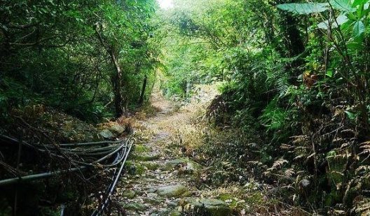 台北近郊登山 台北近郊登山