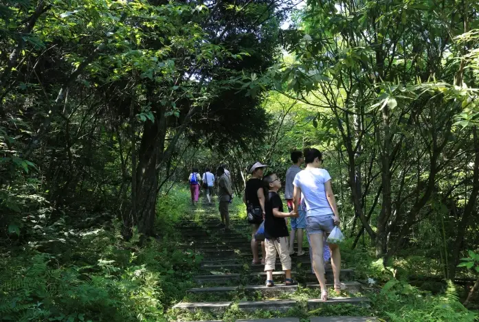 台東健行步道 台東健行步道