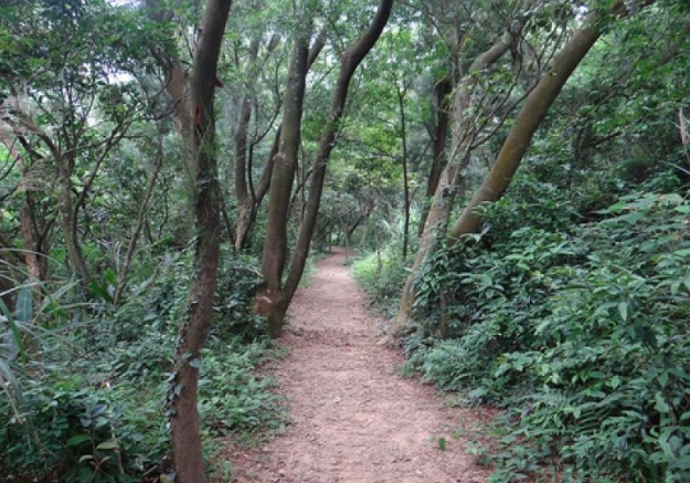 楊梅福人步道 楊梅福人步道