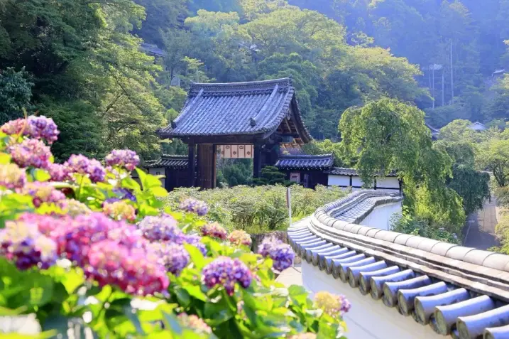 鎌倉深度旅遊 鎌倉深度旅遊