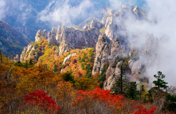 雪嶽山賞楓 雪嶽山賞楓