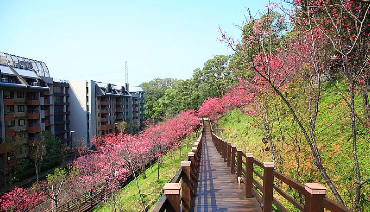 桃園景點一日遊：完整行程規劃與必玩景點全攻略