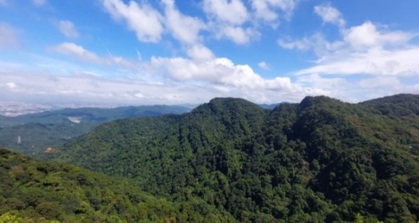 三峽步道 三峽步道