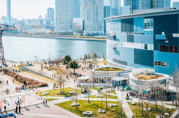 東京魚市場 東京魚市場