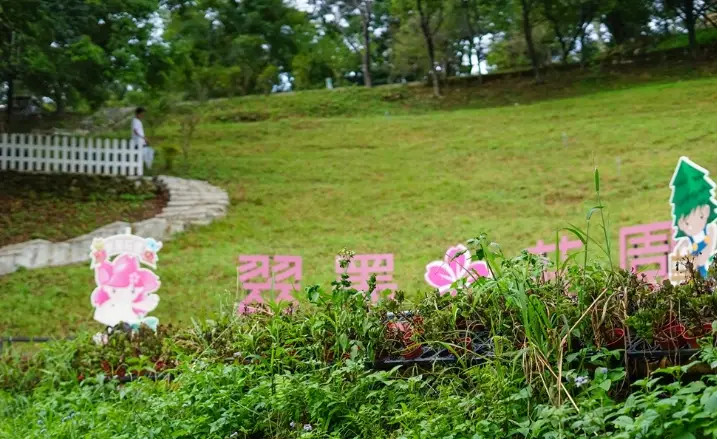 復興鄉旅遊 復興鄉旅遊