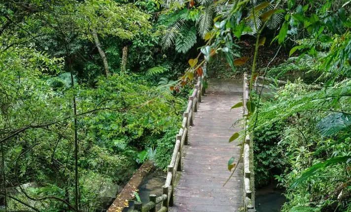 復興鄉旅遊 復興鄉旅遊