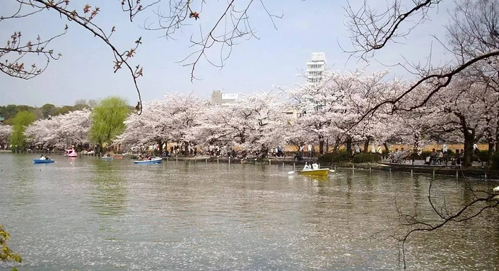 上野動物園 套票 上野動物園 套票