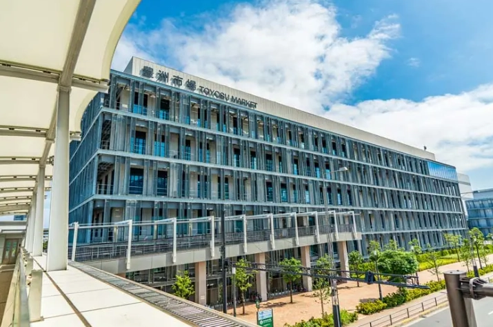 豐洲市場與築地市場終極比較：一次搞懂搬遷前後差異與行程規劃
