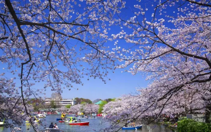 上野公園 票價 上野公園 票價