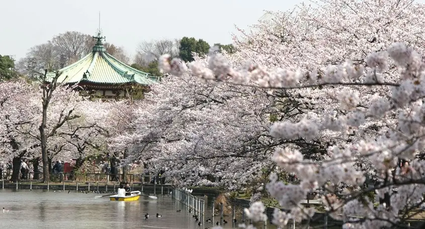 上野公園 票價 上野公園 票價