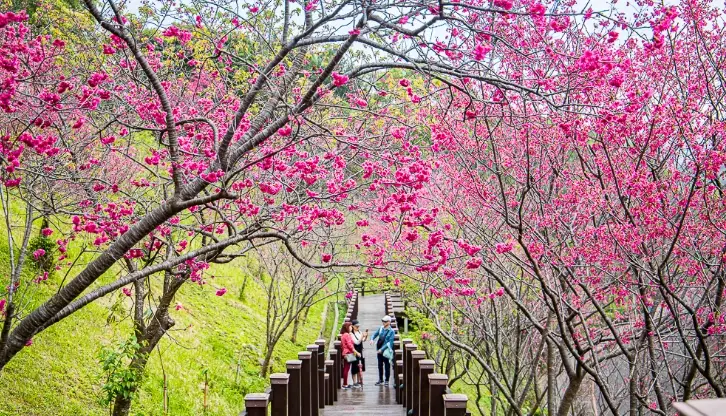 桃園景點一日遊 桃園景點一日遊