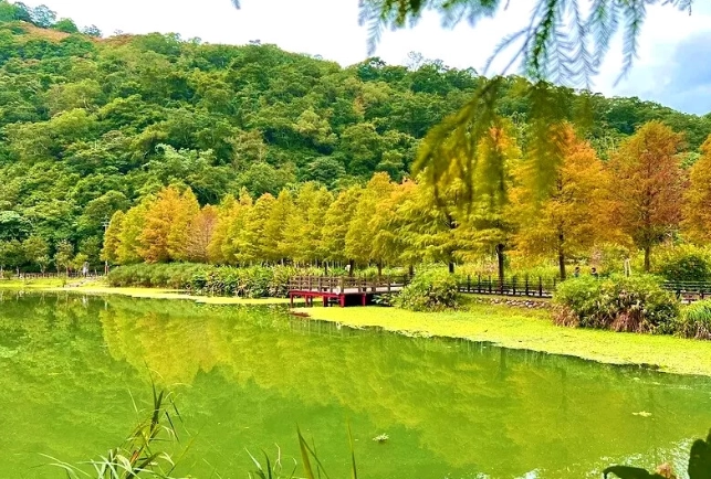 桃園旅遊景點